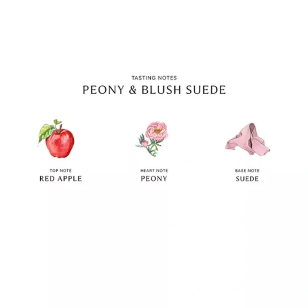 🆕💞Jo Malone London Peony & Blush Suede Scent Surround™ Diffuser 165ml/5.6oz